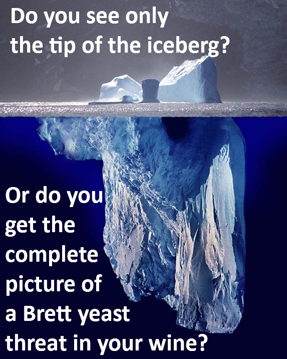 Brett sampling iceberg