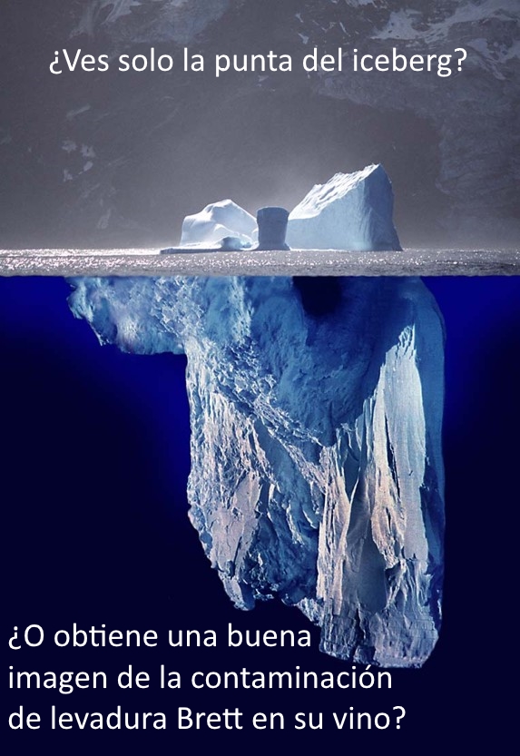 ¿Lo ves en la punta del iceberg?